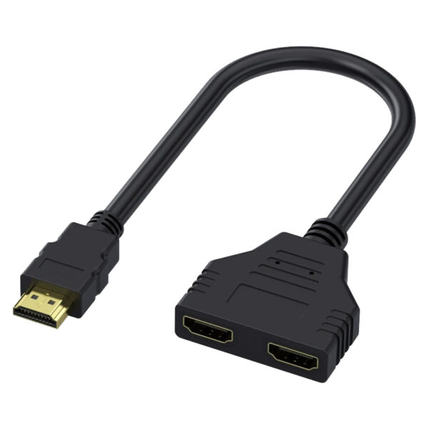 HDMI 1 for 2